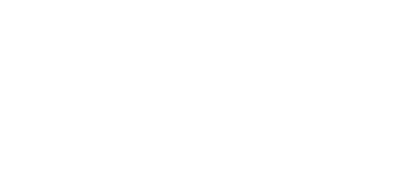 Practi-Car